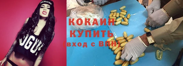 шишки Баксан