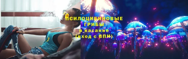 шишки Баксан